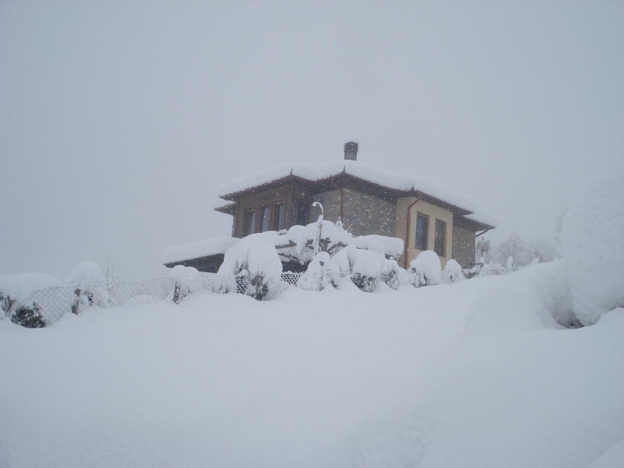 Villa Kleio à Elatochori Extérieur photo